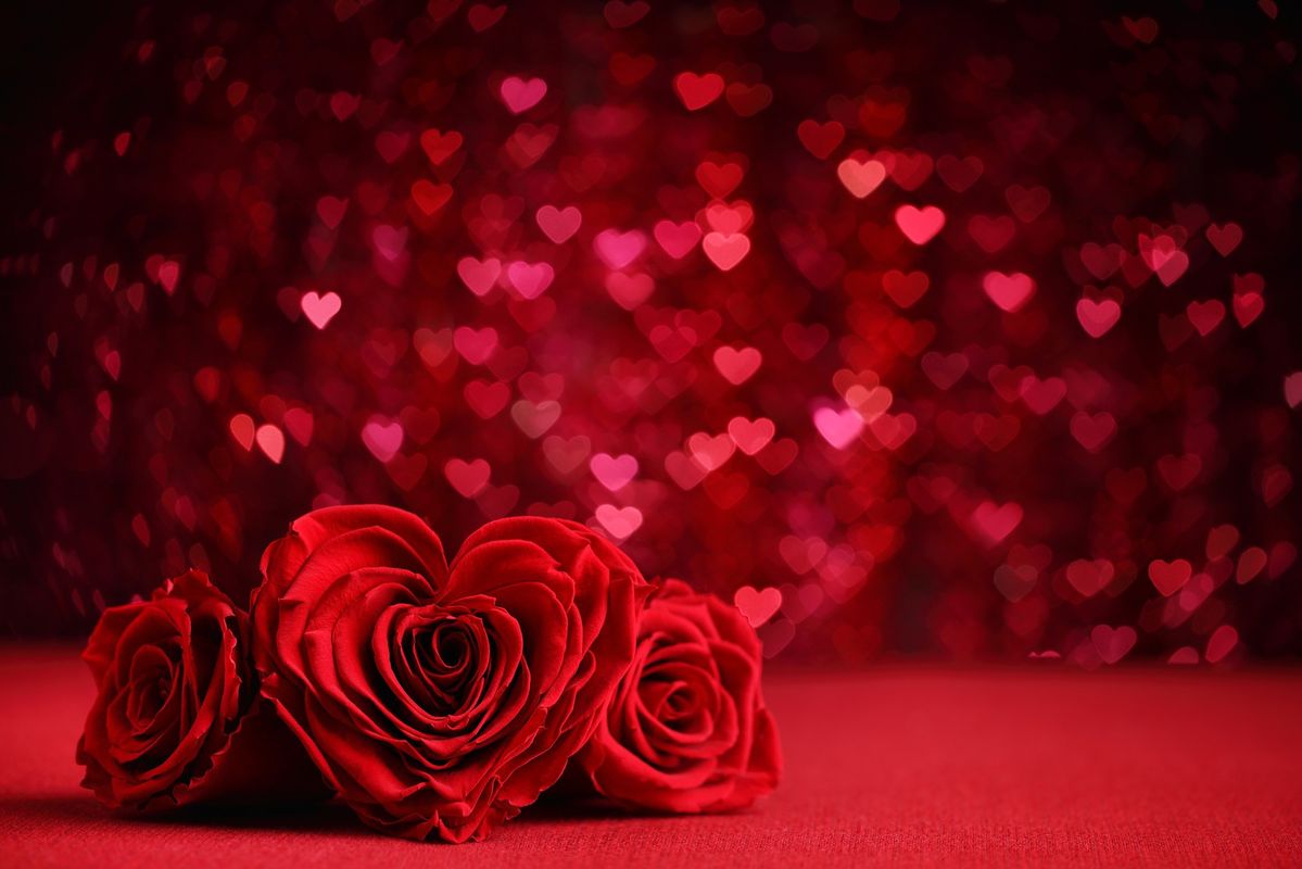 Backdrop valentine đẹp 02
