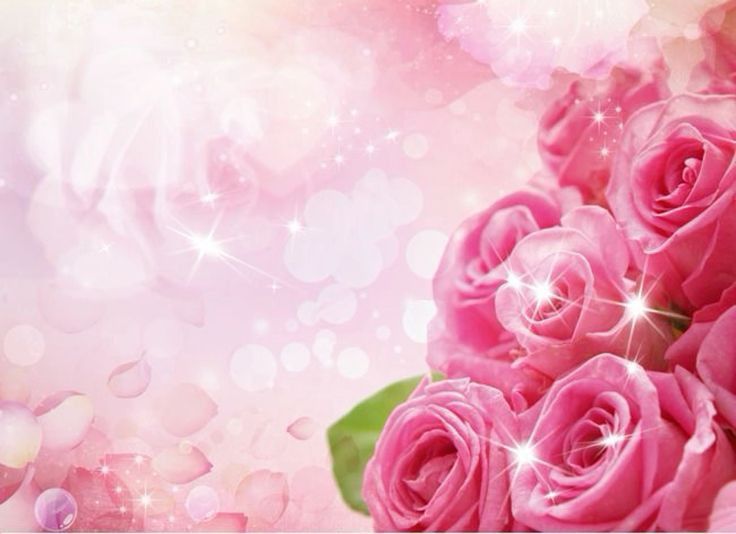 Backdrop valentine đẹp 04