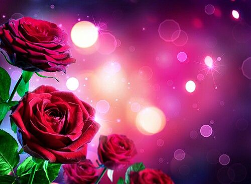 Backdrop valentine đẹp 05