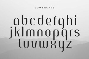 font chữ thời trang việt hóa