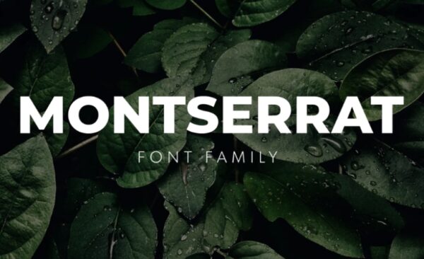 Tải font Montserrat đầy đủ các phiên bản miễn phí - Inviva.vn