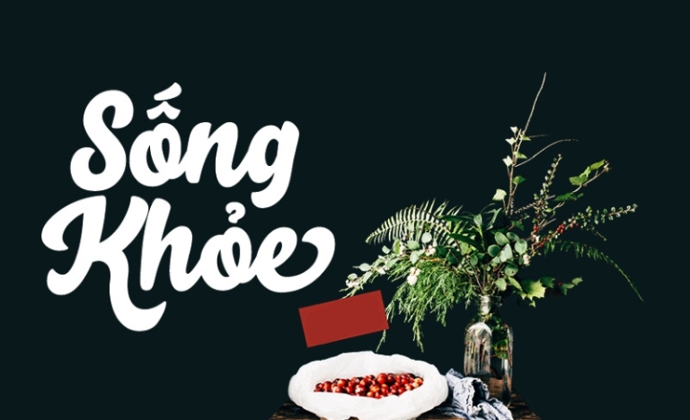 Tải font Việt hóa SVN Salty Script miễn phí, phong cách cá tính