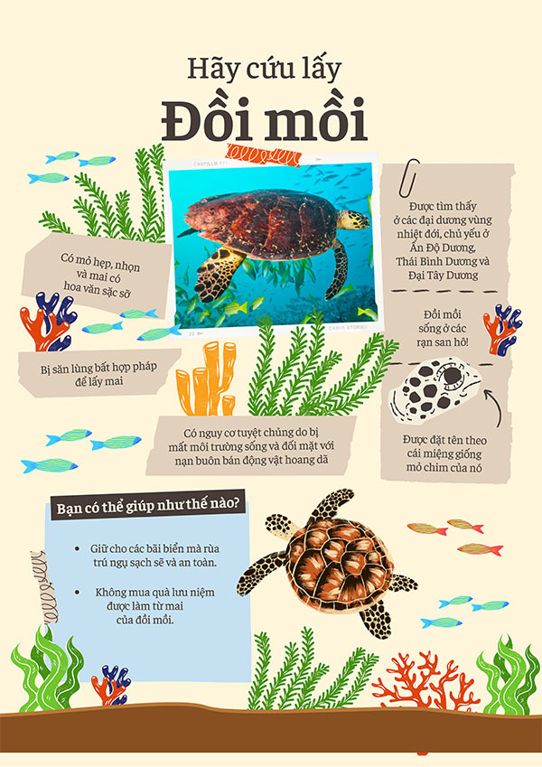 Áp phích kêu gọi nhận thức bảo vệ loài đồi mồi