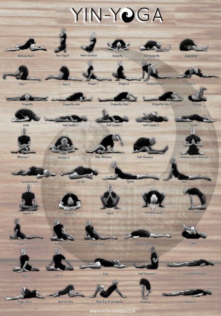poster các tư thế yoga Yin