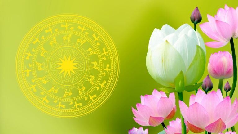 Tải 20+ mẫu background hình nền hoa sen dạng vector định dạng AI, EPS, CDR, SVG và PNG chuẩn sắc nét nhất