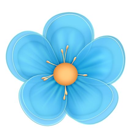 bông hoa 5 cánh vector