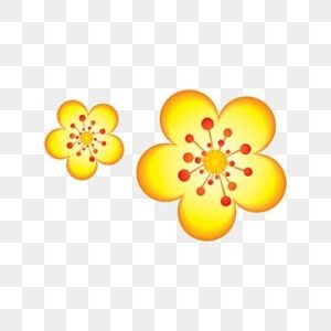 Bông mai 5 cánh vector