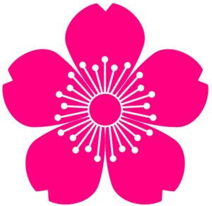 Hoa đào 5 cánh vector