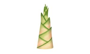 Tải mẫu búp măng non vector đầy đủ định dạng AI, PNG, SVG, CDR, EPS