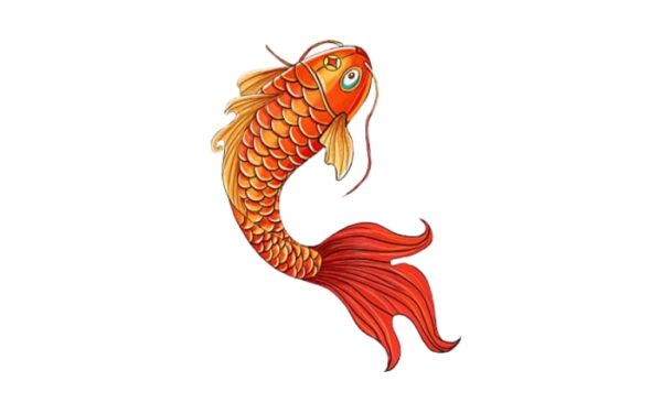 Tải mẫu cá chép vector đầy đủ định dạng AI, PNG, SVG, CDR, EPS - Inviva.vn
