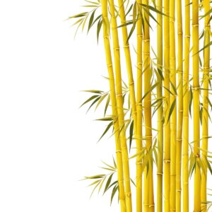 Vector cây tre vàng