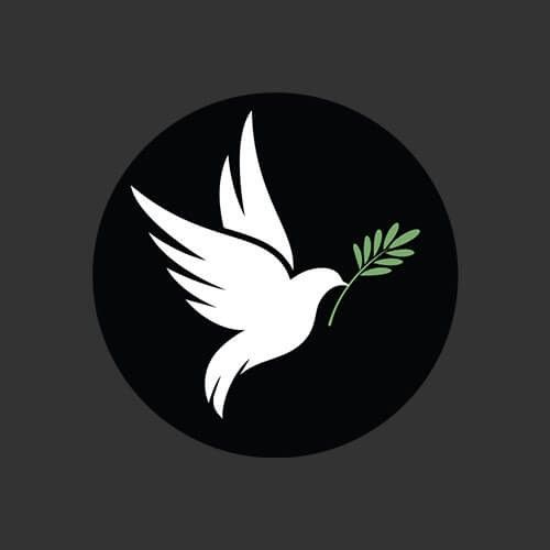 chim bồ câu vector