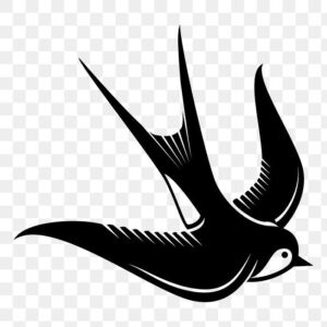 Vector chim yến đen