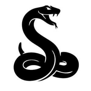 Con rắn đen vector