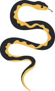 Con rắn sọc vàng đen vector