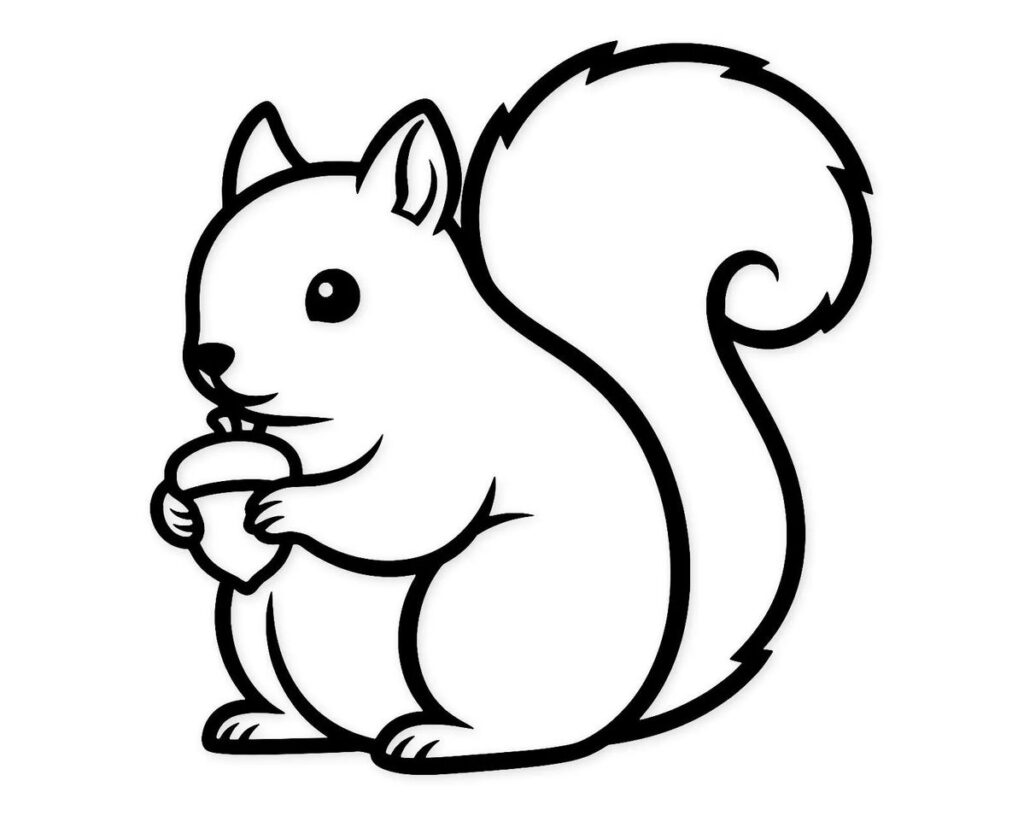 con sóc vector