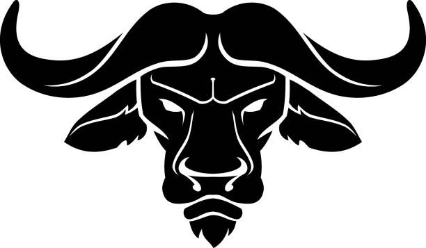 con trâu vector