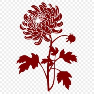 Vector hoa cúc đỏ