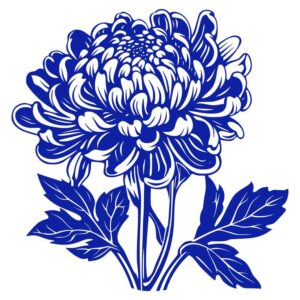 Vector hoa cúc xanh