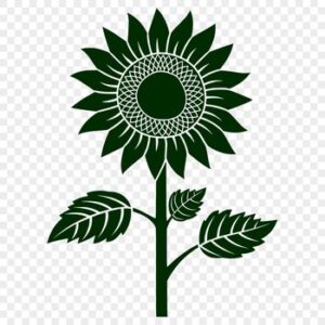 Hoa hướng dương vector xanh lá