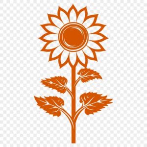 Hoa hướng dương vector cam