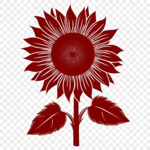Hoa hướng dương vector đỏ