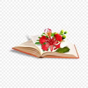 Vector hoa phượng và trang sách