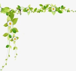 Hoa văn hoa lá khung viền góc vector