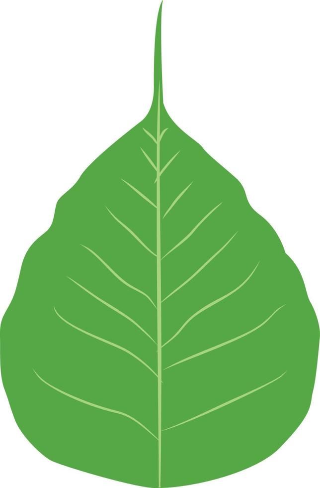 lá bồ đề vector
