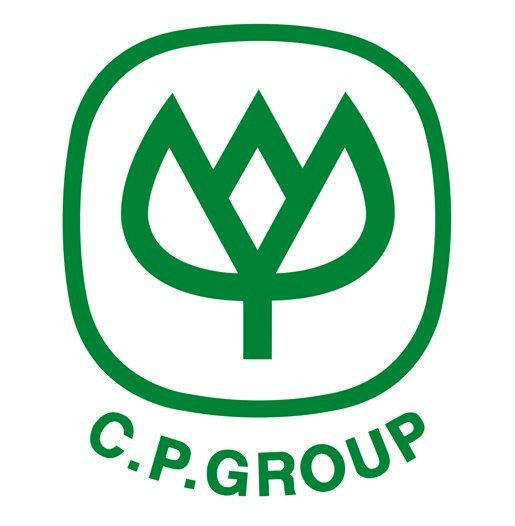 logo cp group vector