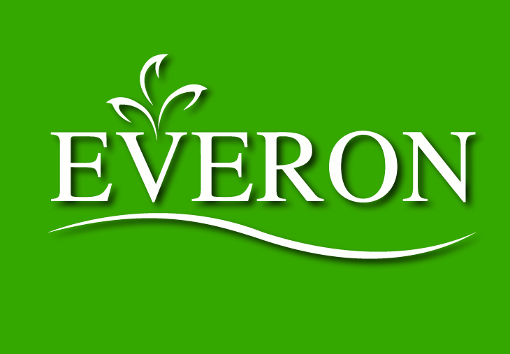 logo everon vector