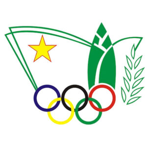 logo hội khỏe phù đổng vector