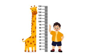 Tải 20+ mẫu thước đo chiều cao vector định dạng AI, EPS, SVG, CDR, PNG chuẩn sắc nét