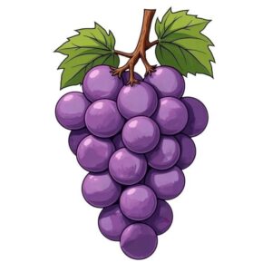 Vector chùm nho