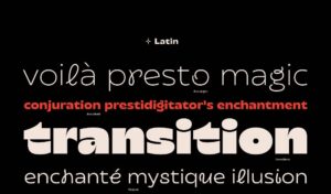 Transforma font family việt hóa