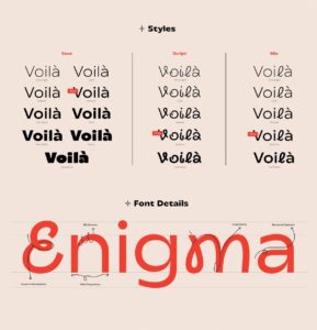 Transforma font family việt hóa đủ loại
