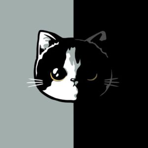 Logo mèo xám đen