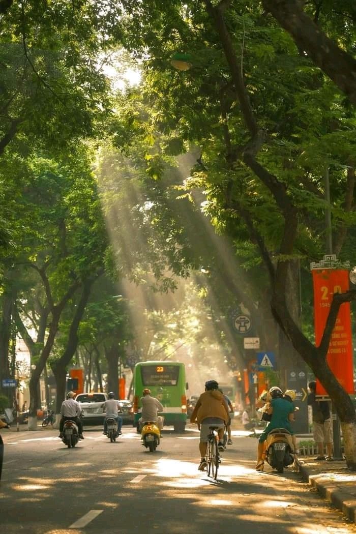 background đường phố