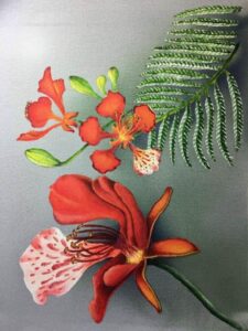 Background hoa phượng