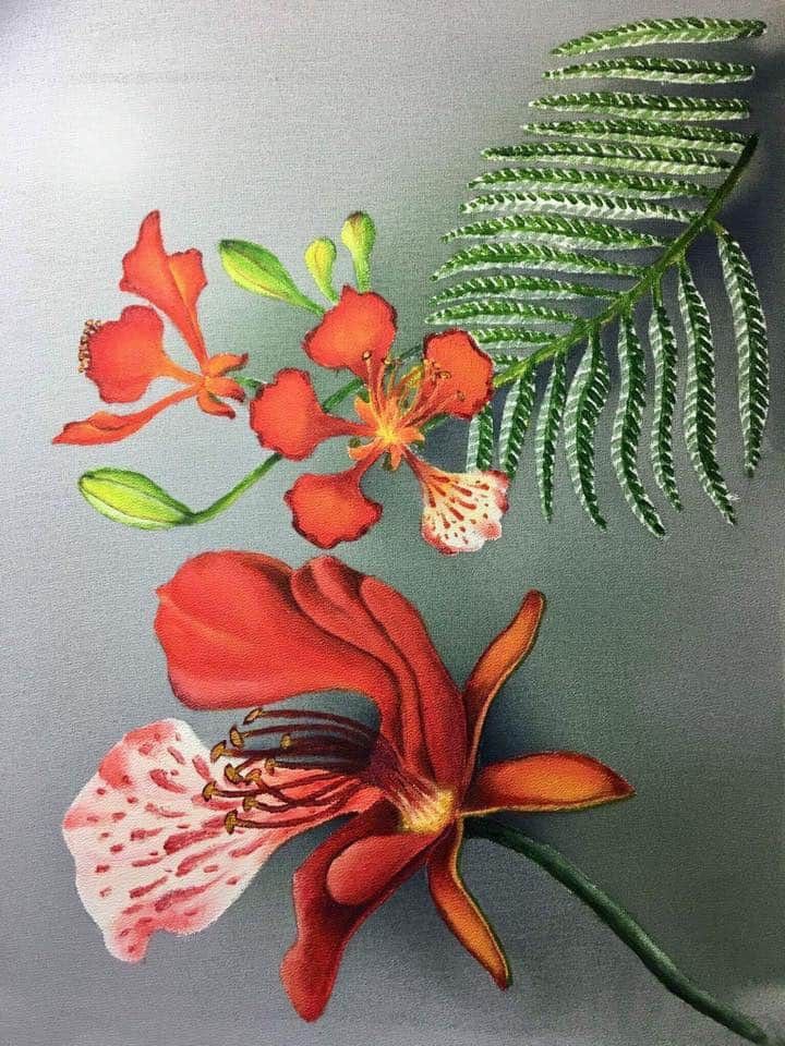Background hoa phượng