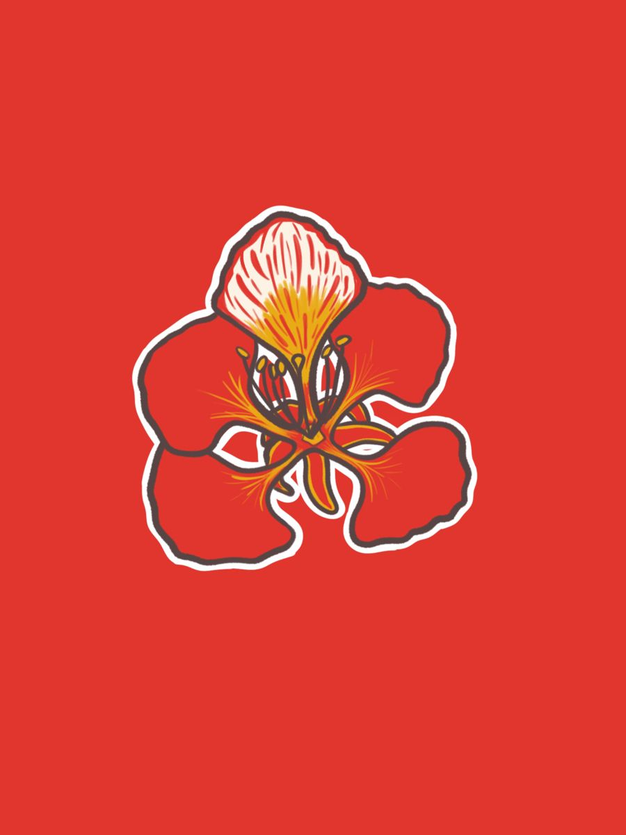 Background hoa phượng đỏ