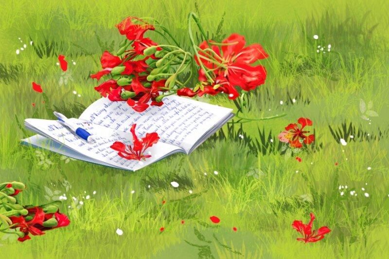 Background hoa phượng rơi bên trang sách