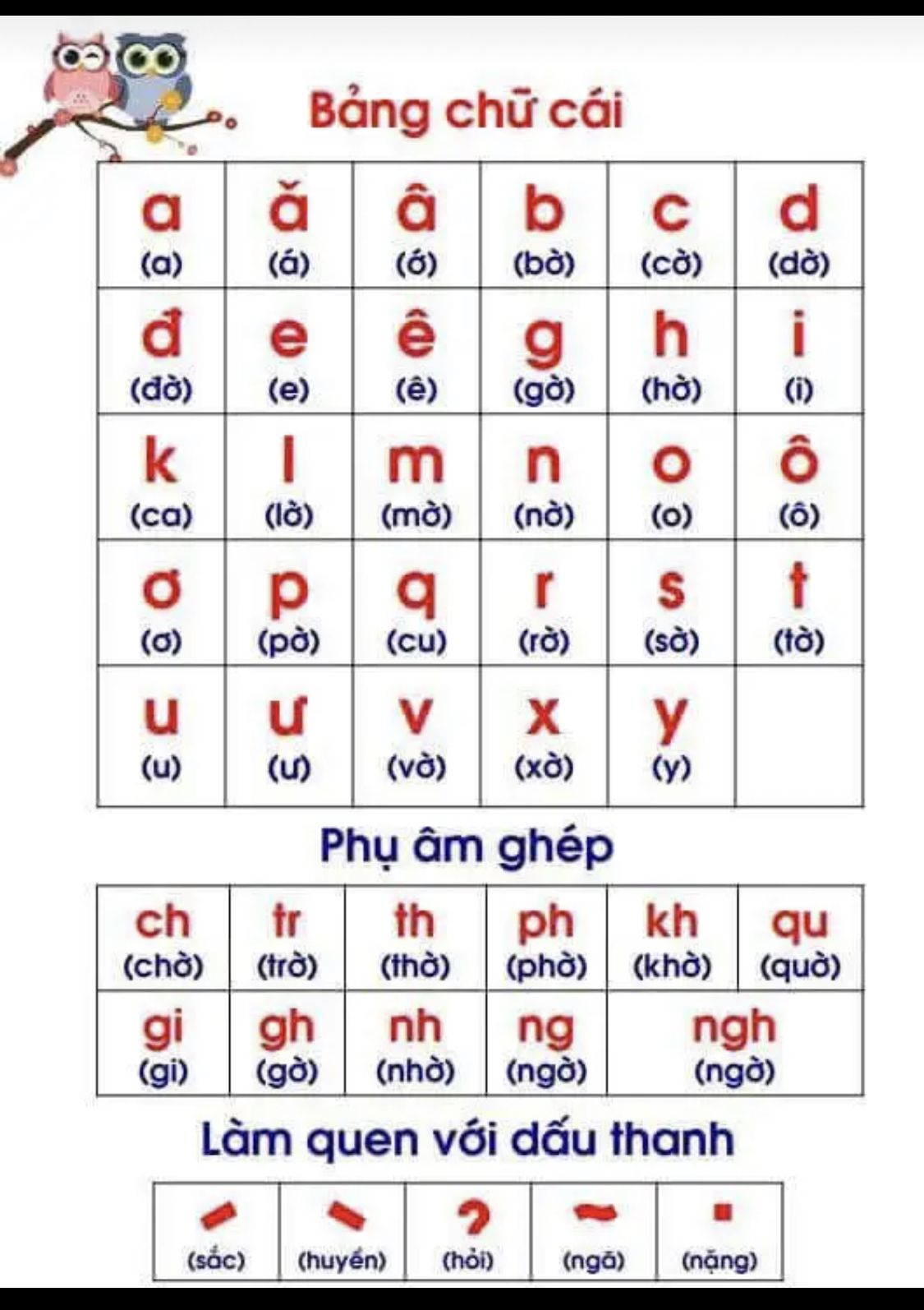 bảng chữ cái vector