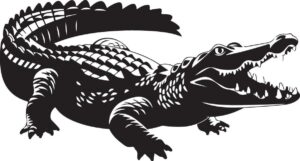 cá sấu vector