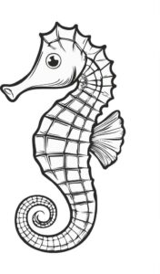 cá ngựa vector