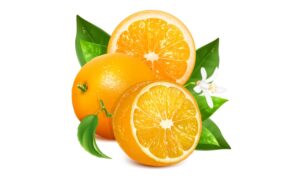 Tải 30+ mẫu quả cam vector đầy đủ định dạng AI, PNG, SVG, CDR, EPS miễn phí