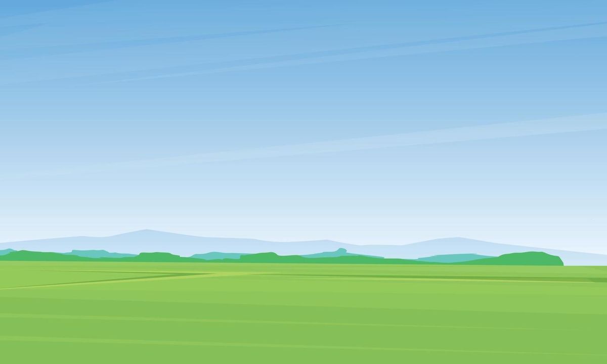 cánh đồng vector