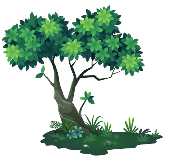 Mẫu cây xanh vector 09