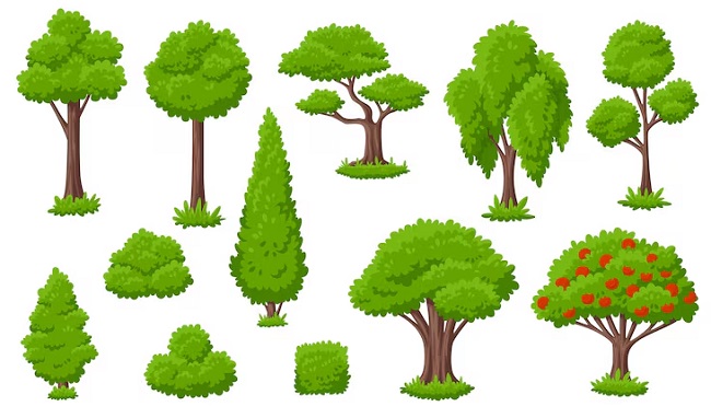 Mẫu cây xanh vector 05