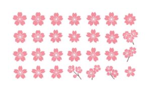 Tải mẫu cherry blossom vector chuẩn sắc nét - Định dạng AI, PNG, SVG, CDR, EPS